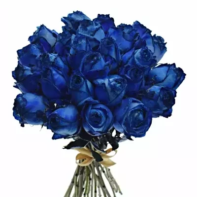 Kytice 25 modrých růží BLUE QUEEN OF AFRICA 50cm 