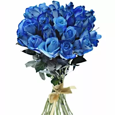 Kytica 25 modrých ruží BLUE snowstorm + 40cm