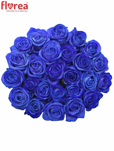 Kytice 25 modrých růží BLUE VENDELA 60cm