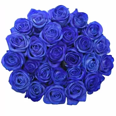 Jednodruhová kytice 25 modrých růží BLUE VENDELA 70 cm
