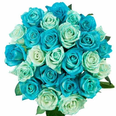 Míchaná kytice 25 modrých růží ICE BLUE ADRIANA 70 cm