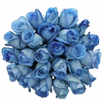 Kytice 25 modrých růží LIGHT BLUE SNOWSTORM 40cm