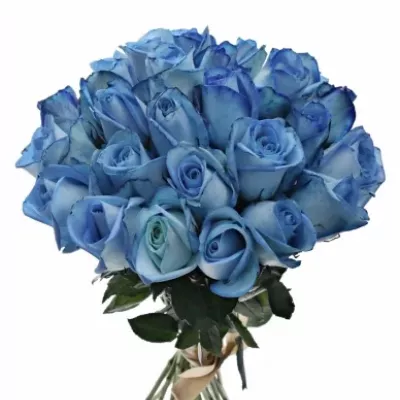 Kytice 25 modrých růží LIGHT BLUE SNOWSTORM