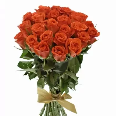 Kytice 25 oranžových růží ALMANZA