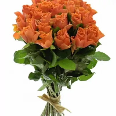 Kytice 25 oranžových růží ARANCIO 40cm