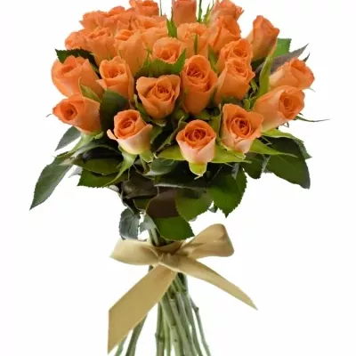 Kytice 25 oranžových růží CHELSEA 40cm