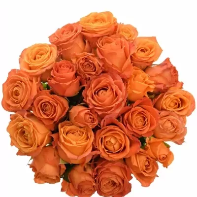 Kytice 25 oranžových růží CLARENCE+ 60cm