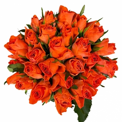 Jednodruhová kytice 25 oranžových růží COMANCHE 70 cm