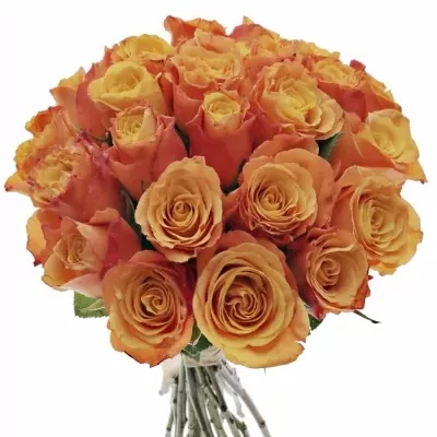 Kytice 25 oranžových růží CONFIDENTIAL 35cm