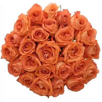 Kytice 25 oranžových růží COPACABANA 70cm