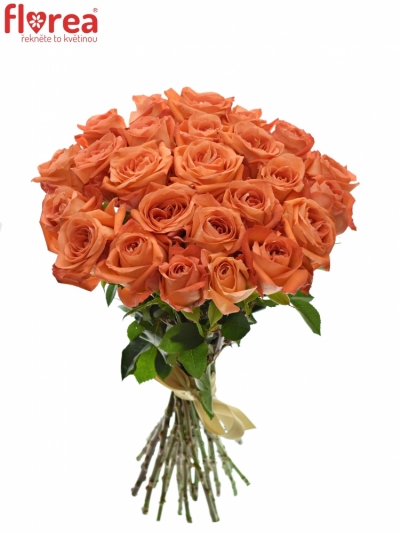 Kytice 25 oranžových růží COPACABANA 50cm