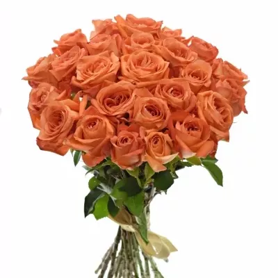 Kytice 25 oranžových růží COPACABANA 50cm