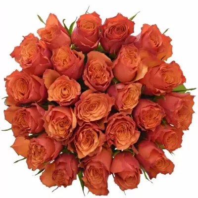 Kytice 25 oranžových růží DEVOTED