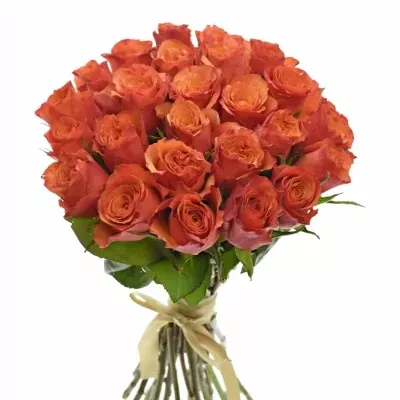 Kytice 25 oranžových růží DEVOTED