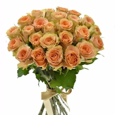 Kytice 25 oranžových růží FLORENTINE