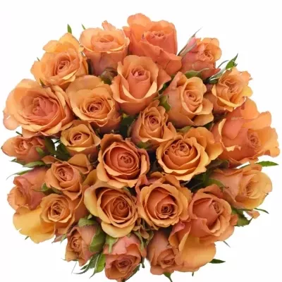 Kytice 25 oranžových růží JULIA 40cm