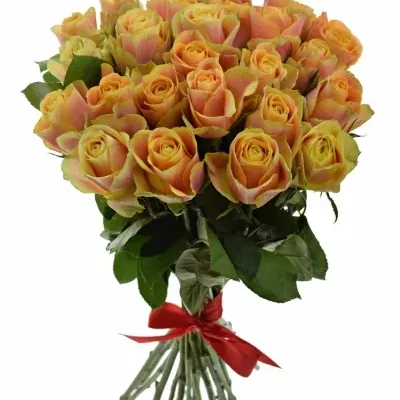 Kytice 25 oranžových růží MARACUJA 40cm