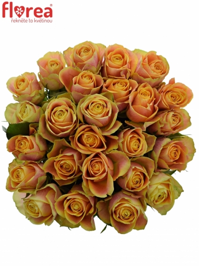 Kytice 25 oranžových růží MARACUJA 60cm