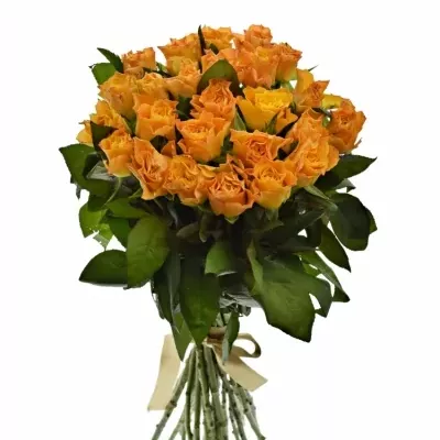 Kytice 25 oranžových růží MARIE-CLAIRE! 60cm