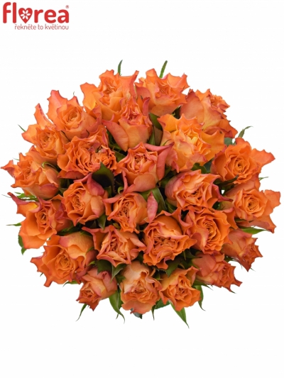 Kytice 25 oranžových růží MARIYO! 50cm