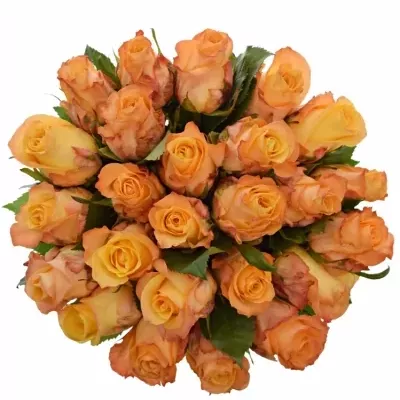 Jednodruhová kytice 25 oranžových růží MONALISA 50 cm