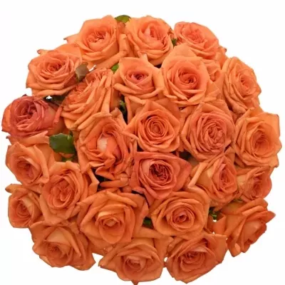 Kytice 25 oranžových růží NARANGA 90cm