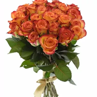 Kytice 25 oranžových růží OUTLAW! 40cm