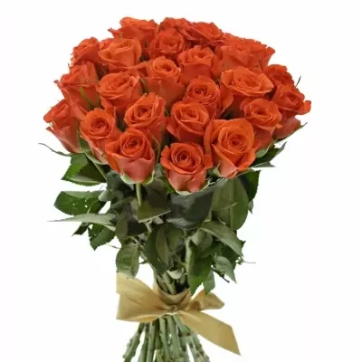 Kytice 25 oranžových růží PATZ 40cm