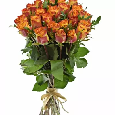 Kytice 25 oranžových růží SOMBRERO 40cm