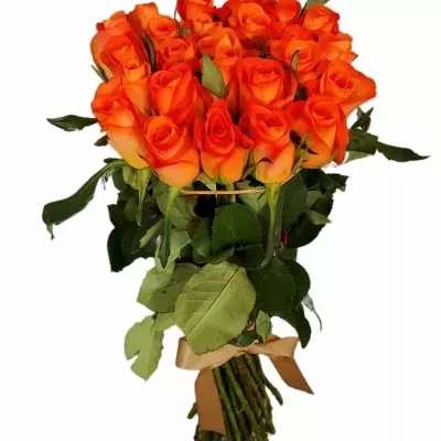 Kytice 25 oranžových růží TROPICAL AMAZONE