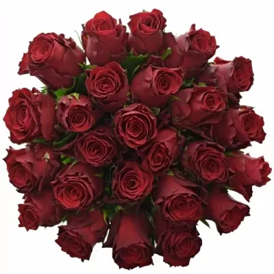 Jednodruhová kytice 25 červených růží MADAM RED 50 cm