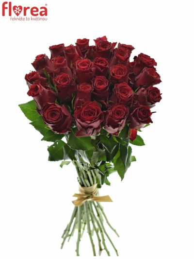Kytice 25 rudých růží MADAM RED 40cm 