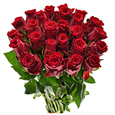 Kytice 25 rudých růží MADAM RED 40cm 