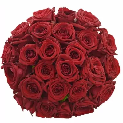 Jednodruhová kytice 25 červených růží RED NAOMI! 60 cm