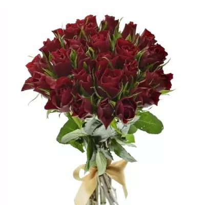 Kytice 25 rudých růží RED TIFFANY