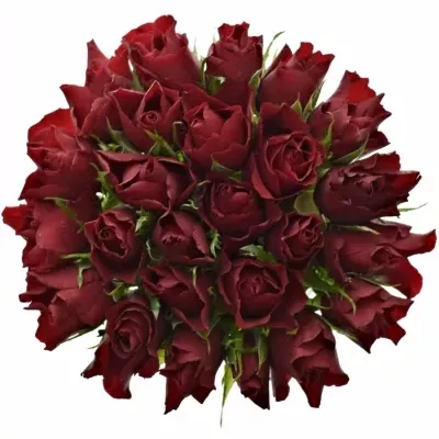 Kytice 25 rudých růží RED TIFFANY