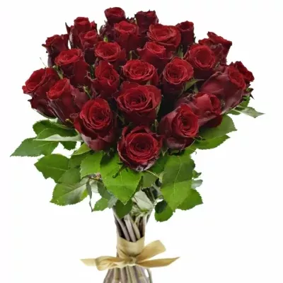 Kytice 25 rudých růží RED TORCH