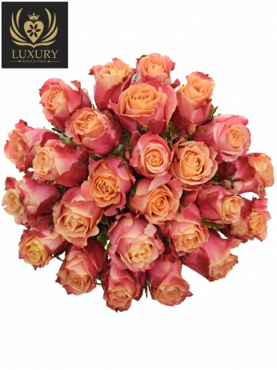 Kytice 25 luxusních růží 3D 70cm