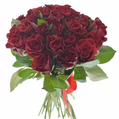 Kytice 25 růží červených TORERO  30cm