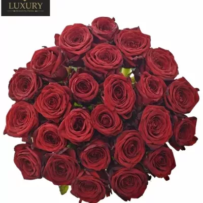Kytice 25 luxusních růží RED NAOMI! 60cm
