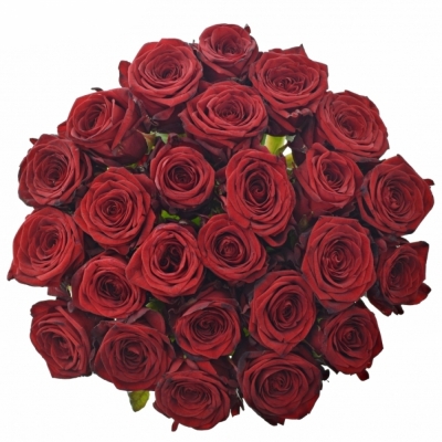 Jednodruhová kytice 25 červených růží RED NAOMI! 70 cm