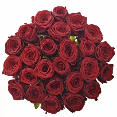 Jednodruhová kytice 25 červených růží RED NAOMI! 50 cm