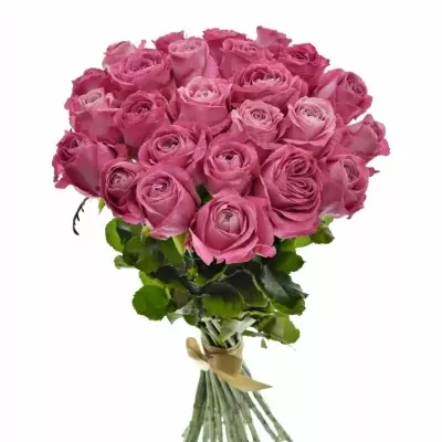 Kytice 25 růžových růží ALL 4 LOVE+