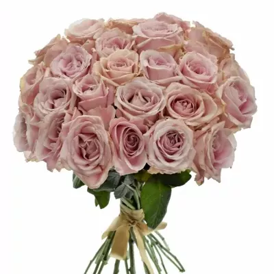 Kytice 25 růžových růží AVALANCHE PINK+ 60cm