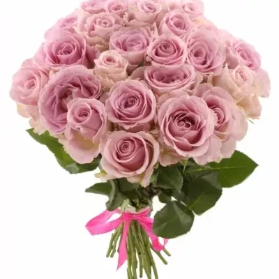 Kytice 25 růžových růží BABYFACE 40cm