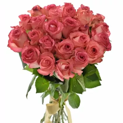 Kytice 25 růžových růží BRENDT 50cm