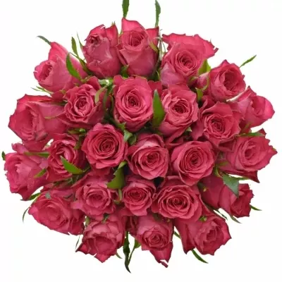 Kytice 25 růžových růží CANDIDATE! 60cm