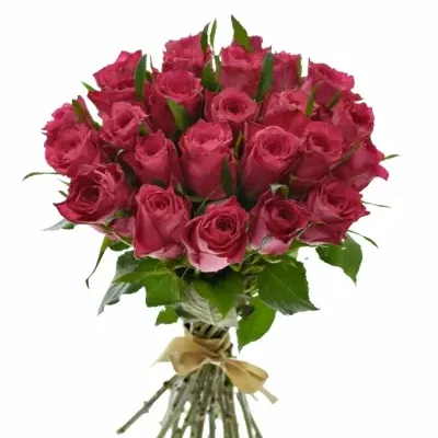 Kytice 25 růžových růží CANDIDATE!