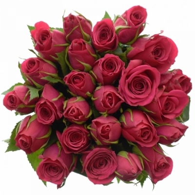 Kytice 25 růžových růží CERISE SUCCESS 60 cm