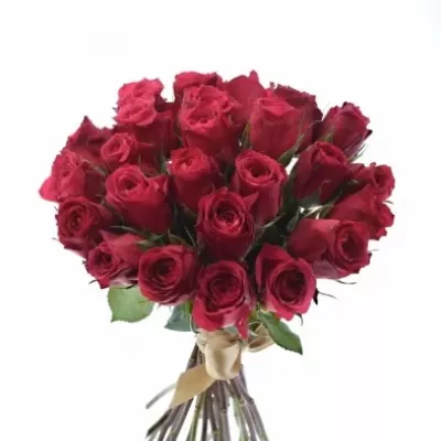 Kytice 25 růžových růží CHERRY O! 